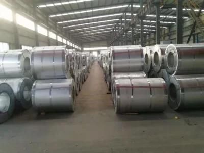 Electro Galvanized Steel Sheets/Eg/Egi Coil/Hot Dipped Galvanized Steel Coil From China Professional Manufacturer