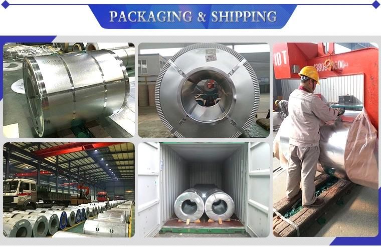 High Quality Ral 9003 6005 Ppal Ppcr PPGL PPGI Steel Coils Shandong Price for Roofing Sheet in China