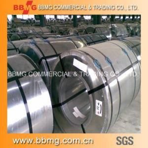 Color Coated Zinc Steel Coil (SC-001)
