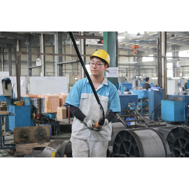 Oil Tempered Quenching Steel Wire Used for Guy&Stay Rope& Lasso& Backstay Cable