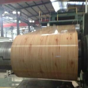 2018 New Designed Steel Coil with High Quality and Cheap Price PPGI