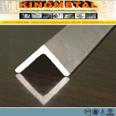 201 304 316L Stainless Steel Angle Bar
