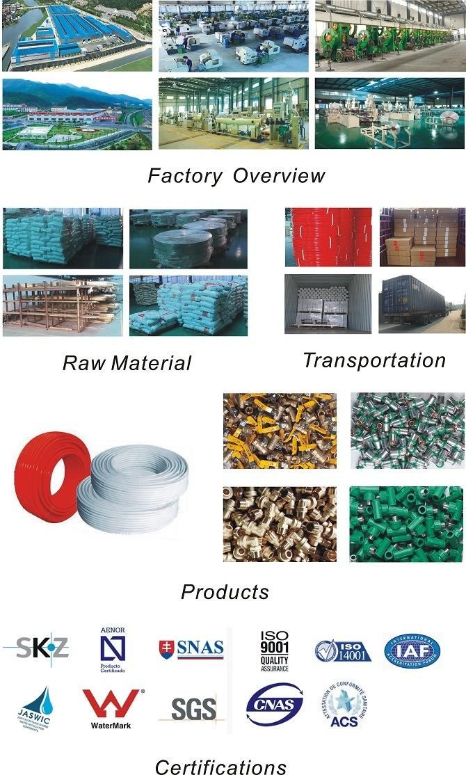 Stainless Steel Fitting for Stainless Pipes