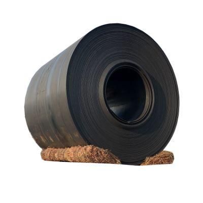China Supplier Hot Rolled Steel Sheet /Plate Price / Scrap Hr Coil