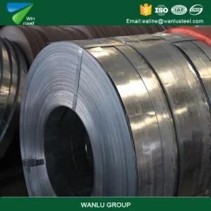 Hot Rolled Iron/Alloy Steel Plate/Coil/Strip/Sheet Ss400, Q235, Q345, SPHC