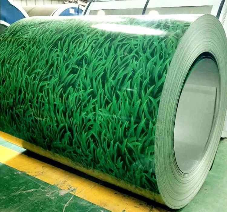 CGCC Chinese Factory Price Prepainted Color Coated Galvanized Steel