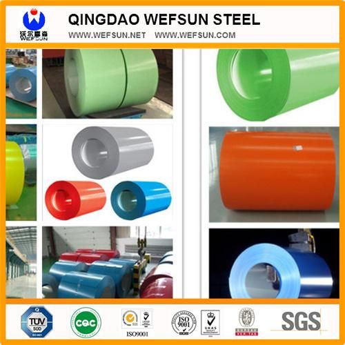 Color Coated Steel Coil /Sheet