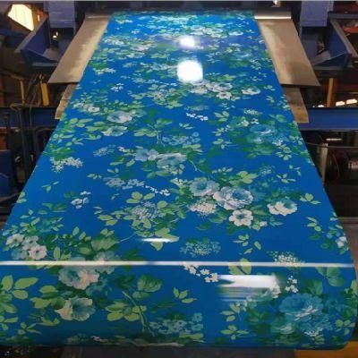 PPGI PPGL Brazil Ral9003 PVC Plastic Film Prepainted Galvalume Steel Coil for Roofing Sheet for Construction