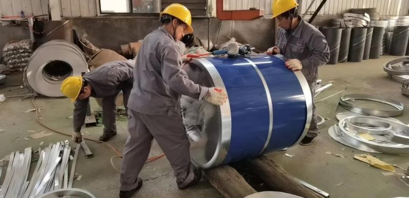 JIS G3312 Prepainted Galvalume Steel Sheet in Coil