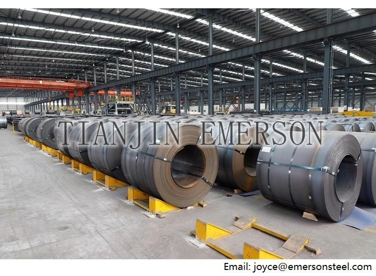 Steel Plate 5mm Thick 1250 1500 1800 Hot Rolled Steel Coil Plate Price