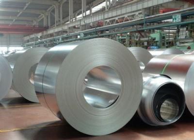 Hot Dipped Galvanized Steel Coil for Construction