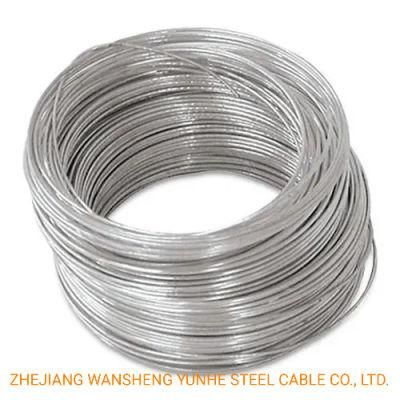 300 Series Grade and DIN Standard SUS 304 Stainless Steel Wire