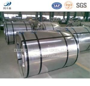 Hot Dipped Galvanized Steel Roofing Sheet and Galvanized Steel Coil