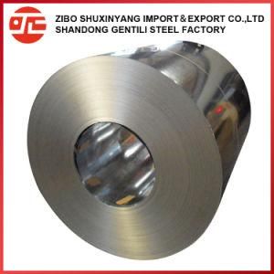 Galvanized/Gi Steel Coil for Building Use in China Factory