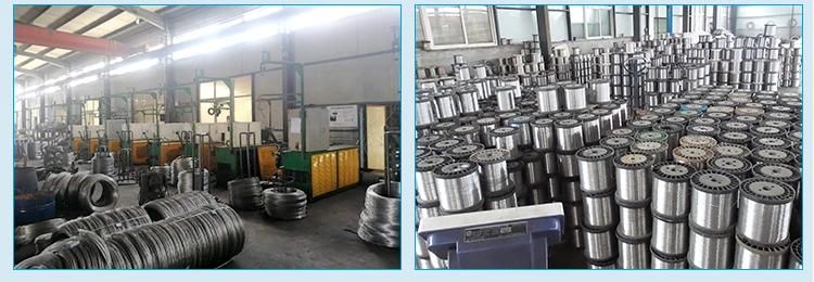 201 Bright Spring Wire Special Promotion 304 Stainless Steel Wire