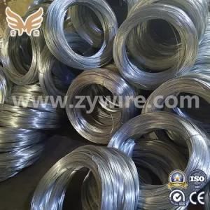 High Quality Hot Dipped and Electric Galvanized Iron Wire for Buidling