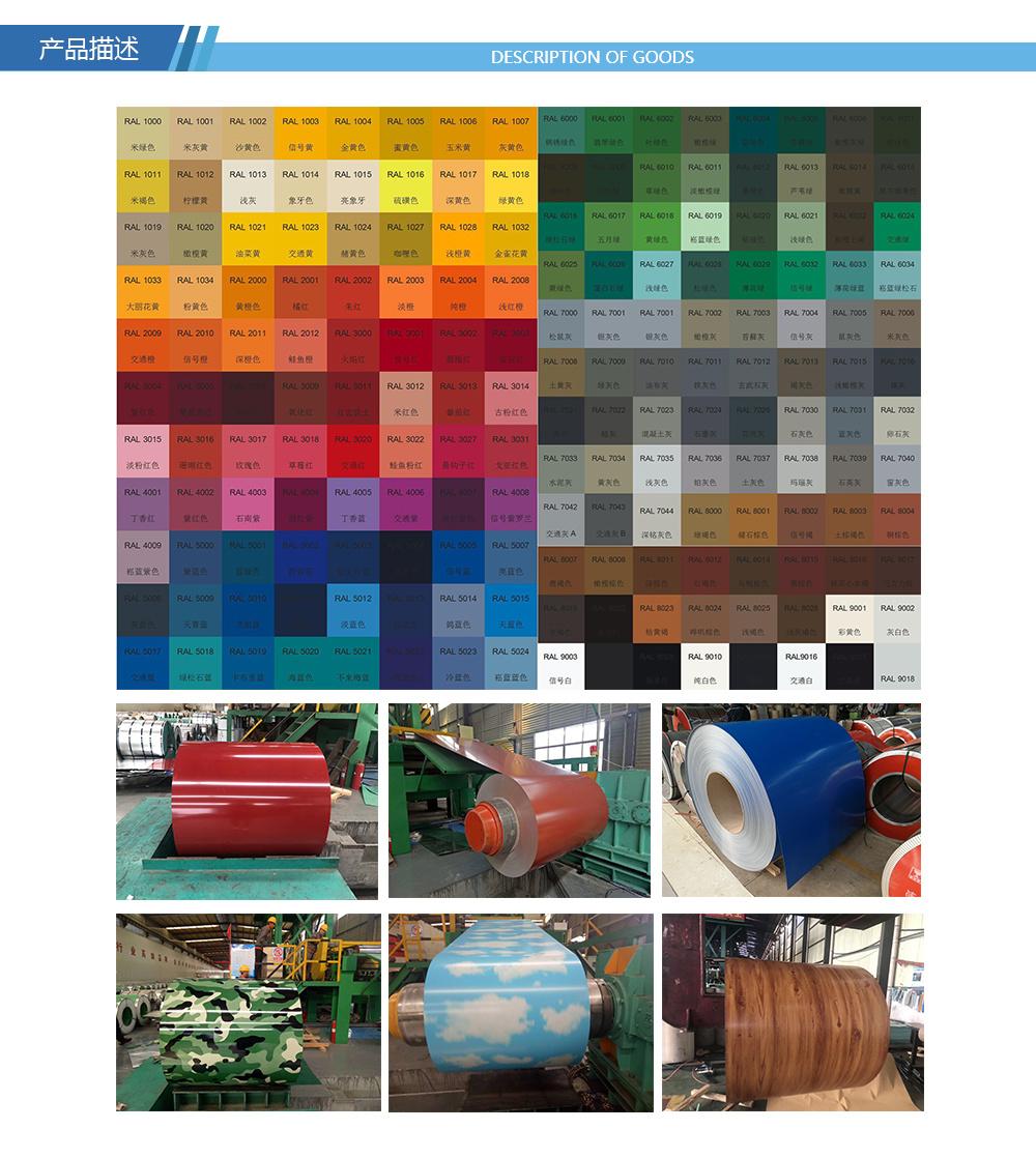 Low Price China Factory Building Material Color Coated Steel Coil (SC-009) PPGI