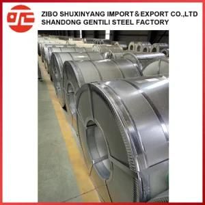 Best Selling Product Galvanized Steel Coil for Building