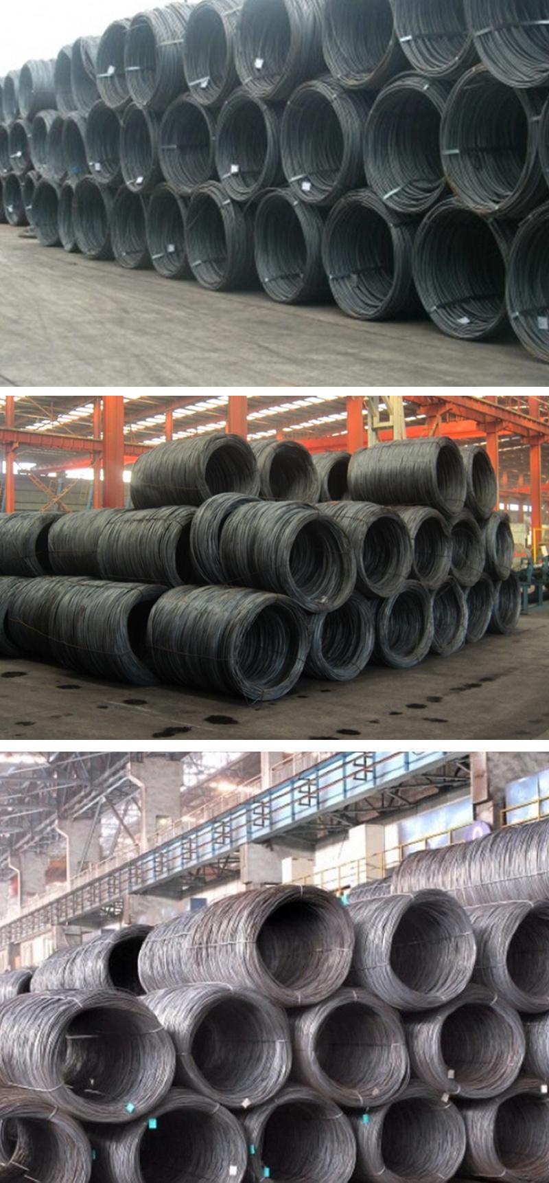Hot Selling High Carbon High Tensile Strength Steel Wire
