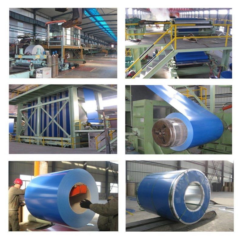 PPGI Metal Coils Building Material Zinc Coated Roofing Materials Galvalume Hot Dipped Galvanized Gi PE Prepainted Ral Color Coated Galvanised Steel Coil