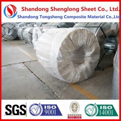PPGI Coils, Color Coated Steel Coil, Ral9002 White Prepainted Galvanized Steel Coil Z275/Metal Roofing