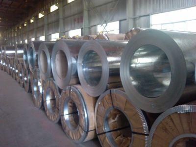 Best Quality of Galvanised Steel Coil Price Dx51d Grade