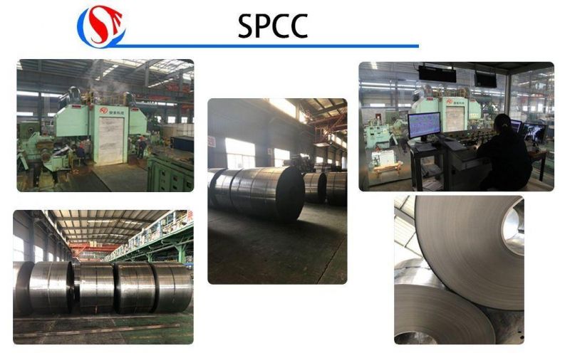 Steel Coils / Galvanized Iron Sheet / Galvanise Steel Plate / Hot Rolled Carbon Steel Plate