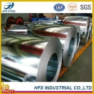 Hot Dipped Galvanized Steel Strip in Coil/Galvanized Steel Coils/Galvanized Steel Sheet
