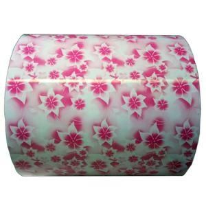 ISO BV Color Coating Steel Coill Steel Roofing Coil Building Material Steel Coil PPGI Prepainted Galvanized Steel Coil