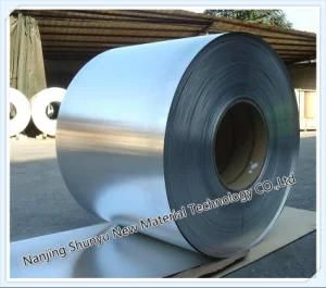 Regular Spangle Galvanized Steel Coils/Gi Coils