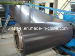 Prepainted Galvanized Steel Coil