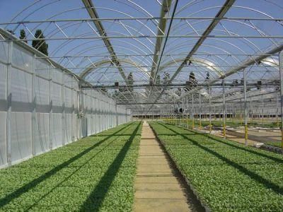 High Carbon BS 183 19/2.0mm Heavily Zinc Coated Steel Wire Strand for Greenhouse