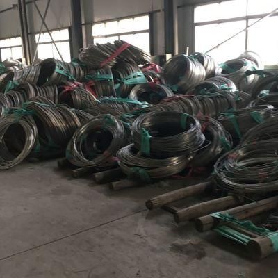 Hot Selled Stainless Steel Pipe /Tube by Grade TP304