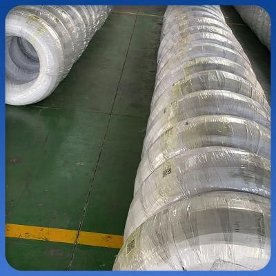 Low Price Hot-Dipped Galvanized Steel Wire High Carbon