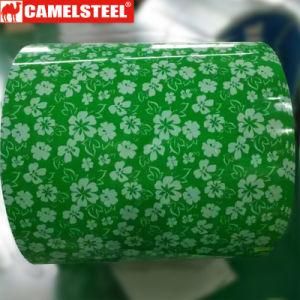 Camelsteel Shandong Zibo Best Quality PPGI for Sale