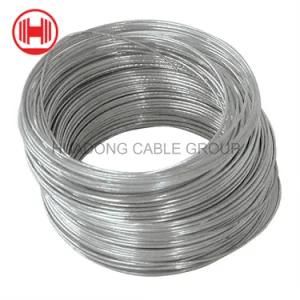 Hot Cold Bwg 0.6 0.8 1.0 1.05 3.7 5.0 Electro1 Galvanized Iron Wire