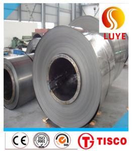 Stainless Steel Coil Belt 304