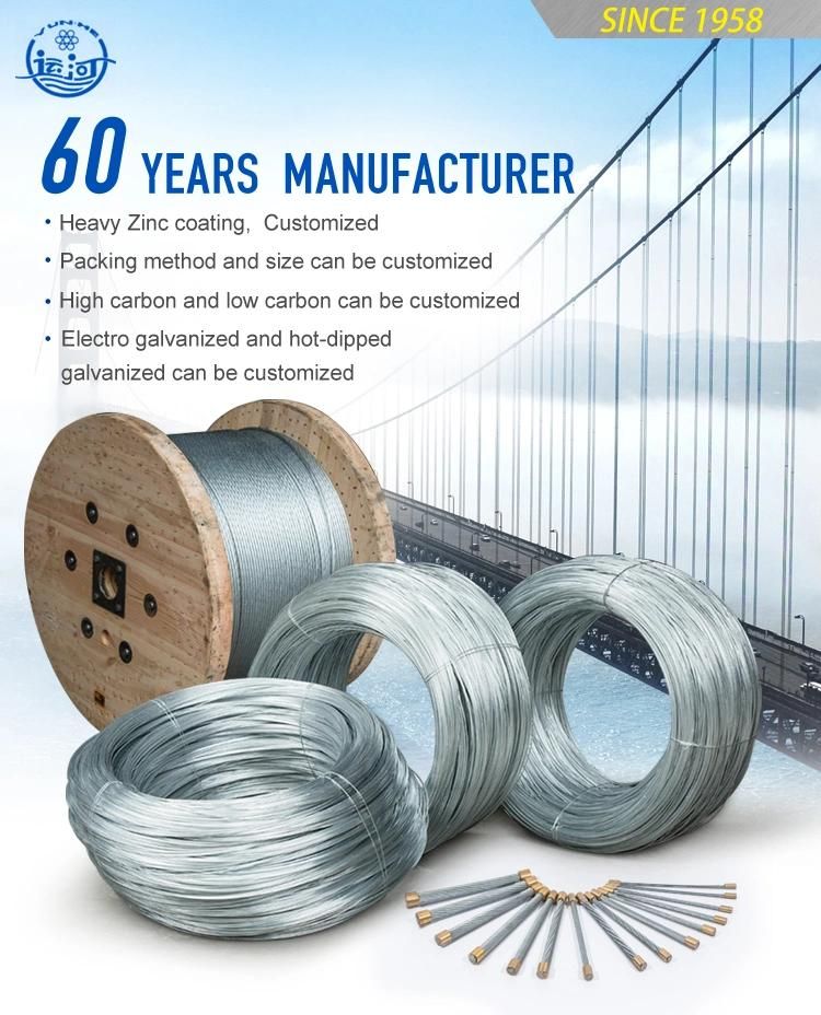 2.0-4.0mm Soft Galvanized Steel Wire /Galvanized Iron Wire/Gi Wire for Wire Mesh