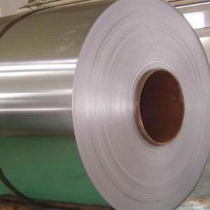 Stainless Steel Coil/Strip for Building Material