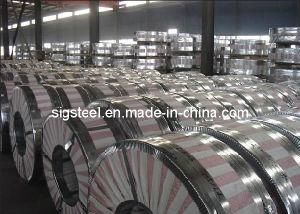Hot Dipped Galvanized Steel Strips