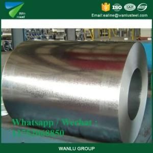 Steel Coil/PPGI/Gl/PPGL/Gi From Heibei Province