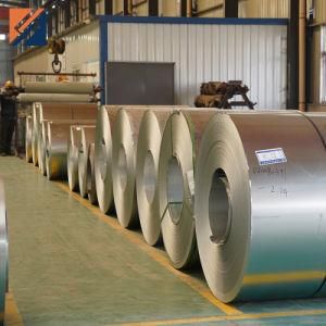 Stainless Steel Sheet PPGI Steel Coil Prepainted Galvanized Roll Zinc Coating Coil