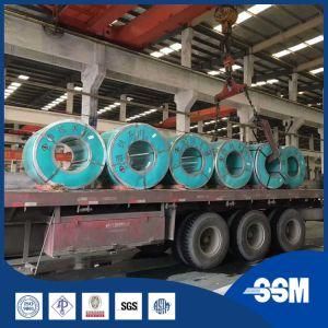 Cold Rolled Stainless Steel Sheets, Coil and Plates for Industrial Uses, Building Material, and Home Products