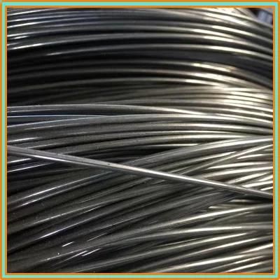 Best Quality High Carbon Steel Wire 77b 82b