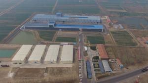 Huibo 750-1250mm Thickness Prime Quality Prepainted Steel Sheet PPGL