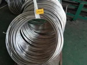 ASTM A312 304 Capillary Coiled Tubing Supplier