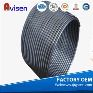 ASTM A249 Stainless Steel 2205 Capillary Tube