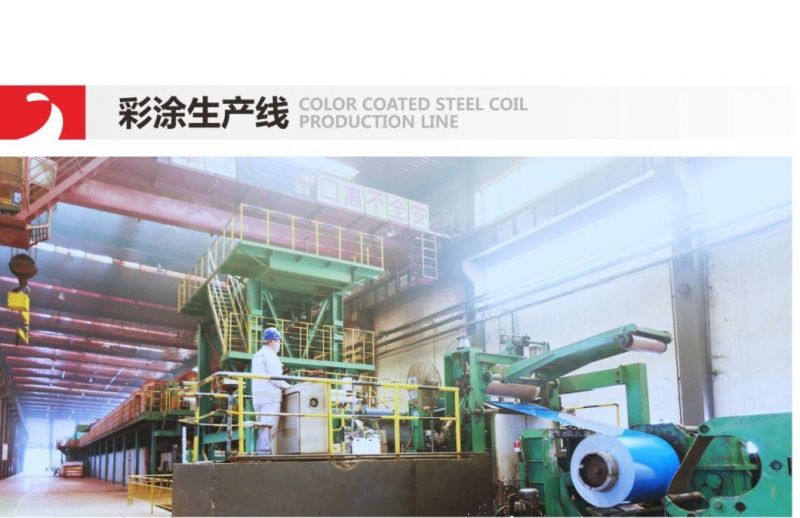 Hot Sale Prepainted Galvanized Steel Coil Z275
