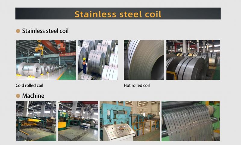 1.5mm Prime Quality and Reasonable Price 304 Coil Hot Rolled Steel