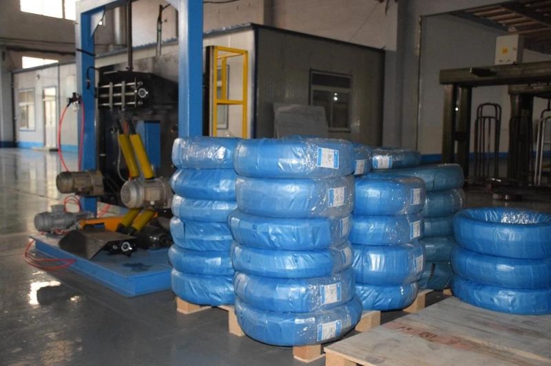 Stainless Steel Wire Spring/Nail Wire